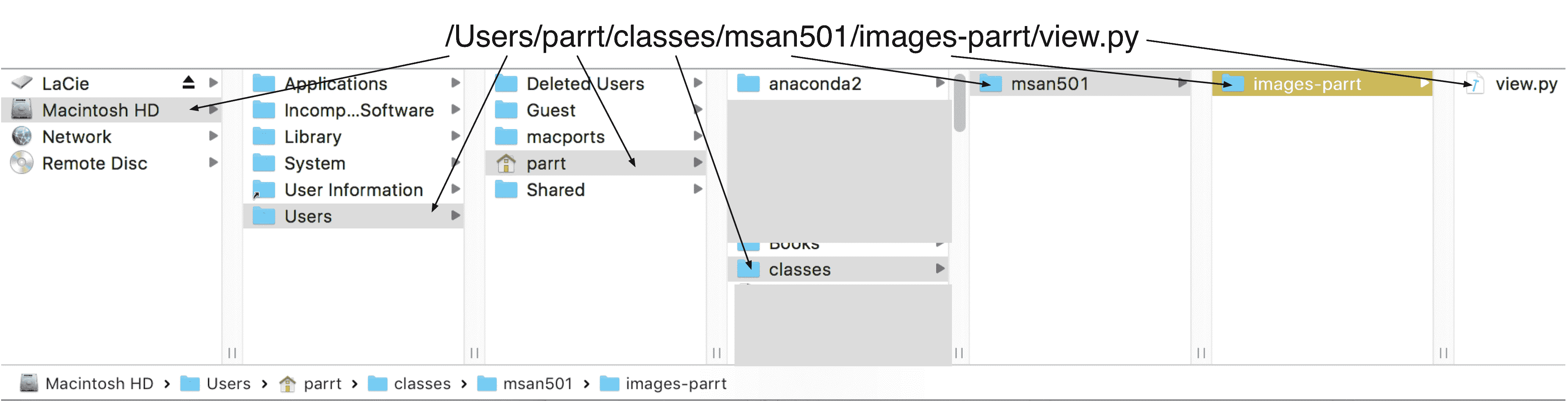 5 1 使用bash 走向胜利 Usf Msds501 计算数据科学中文讲义